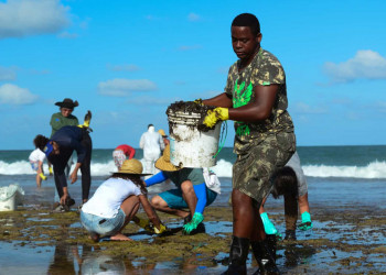 Mais de 40% dos brasileiros avalia mal ações do governo para lidar com óleo nas praia